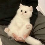 Avatar de Joaquín B.